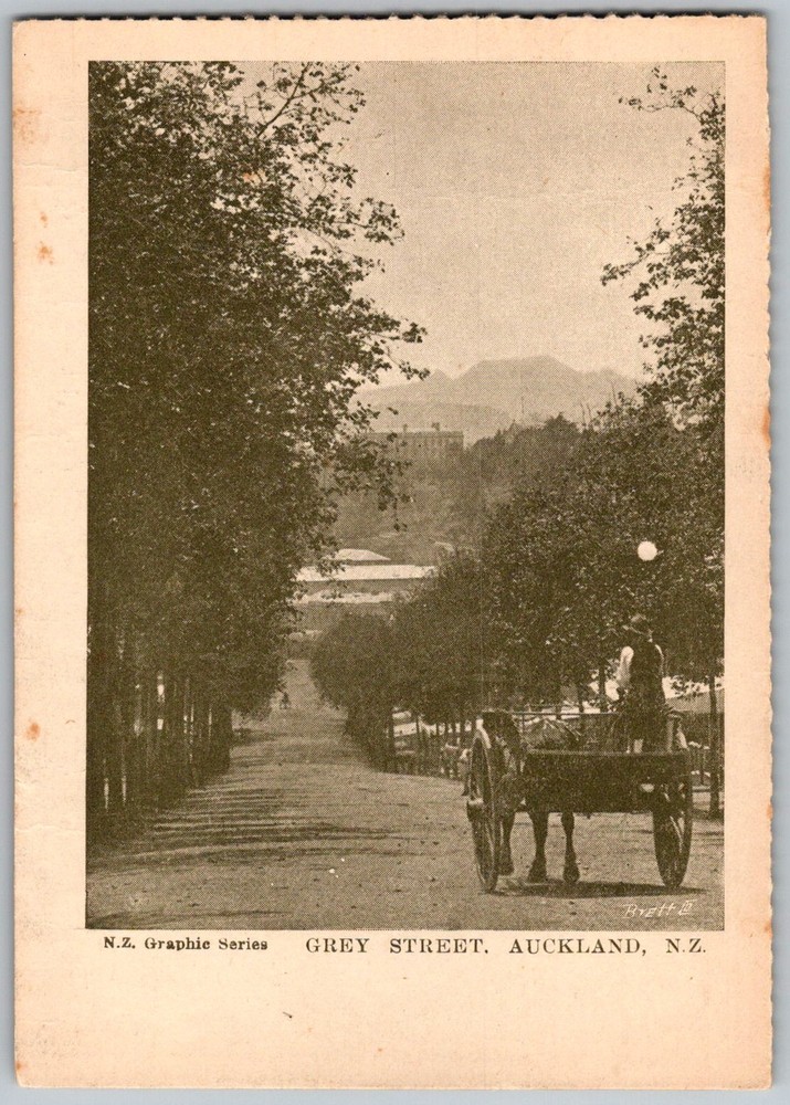 Antique Postcard Horse-drawn Cart Scene Auckland, New Zealand 1900s