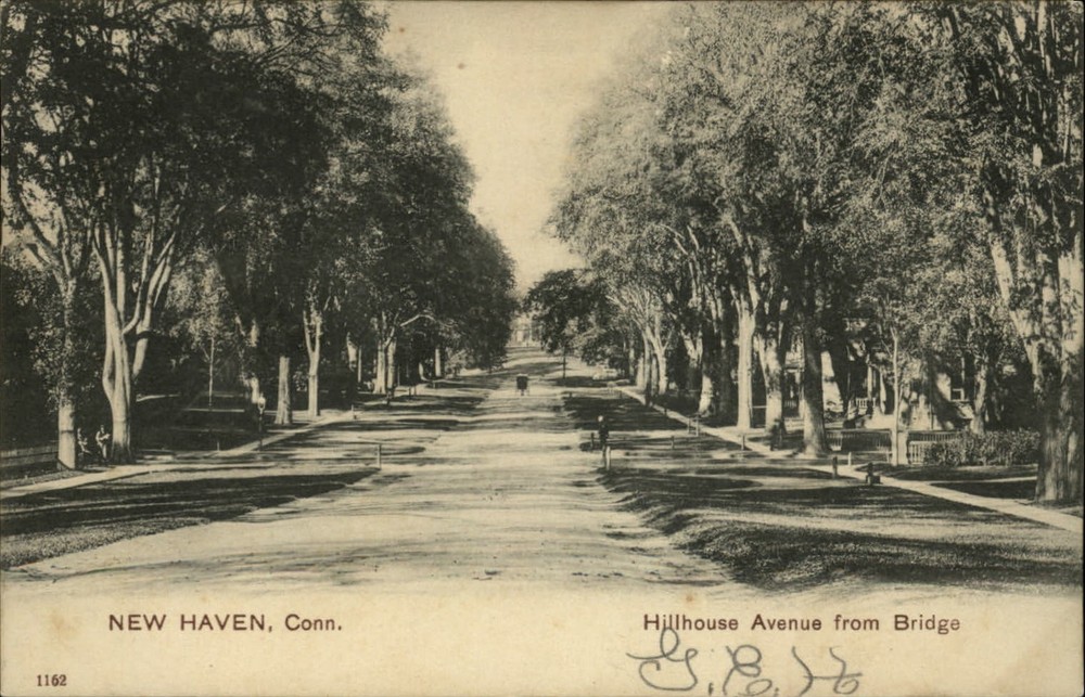 Hillhouse Avenue from Bridge ~ New Haven Connecticut ~ PCK ~ 1908 to Avondale PA