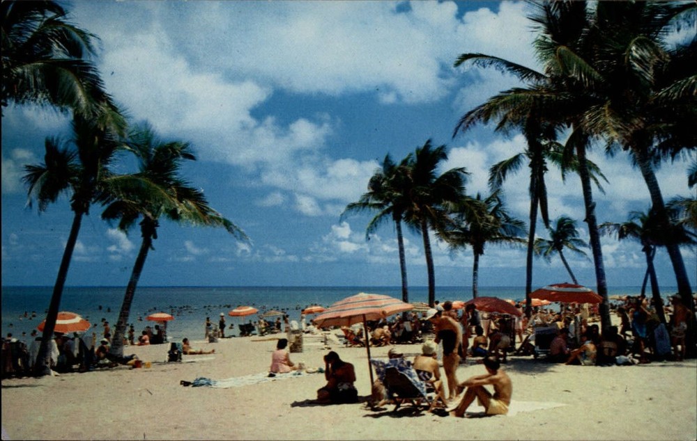 Florida beach scene ~ 1950s-60s vintage postcard sku331