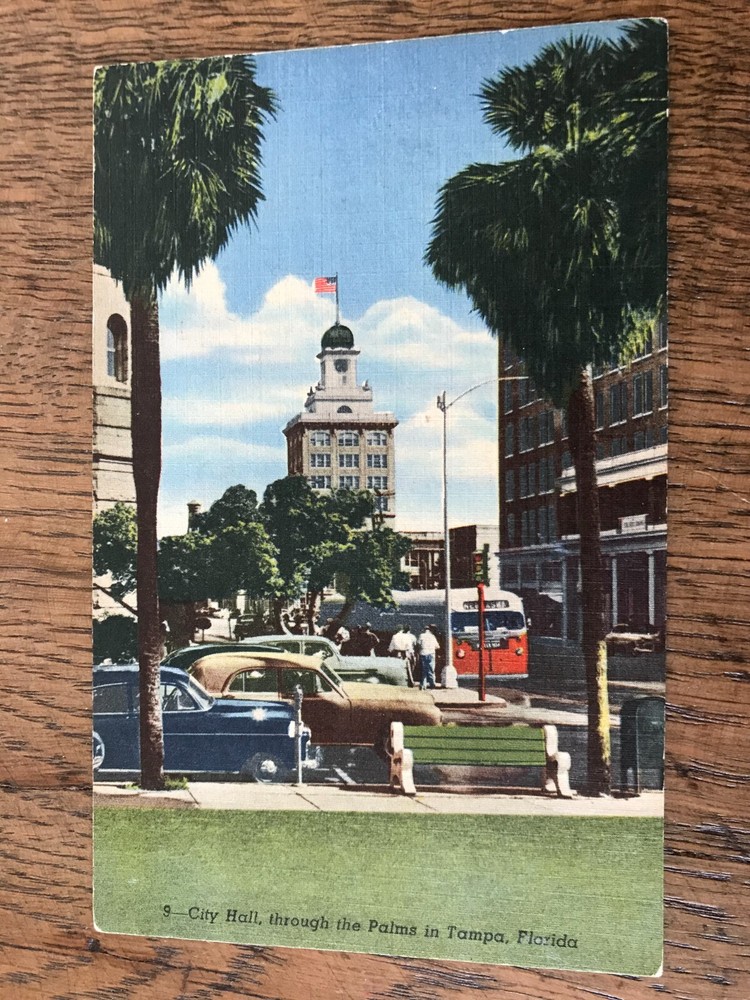 City Hall Through the Palms in Tampa Florida Postcard