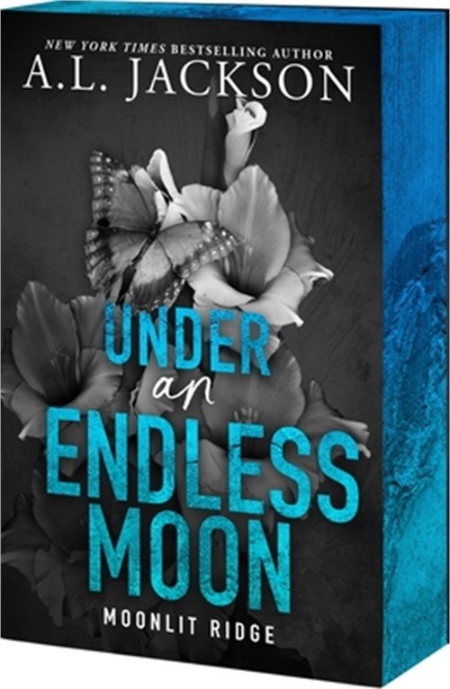 Under an Endless Moon (Paperback or Softback)