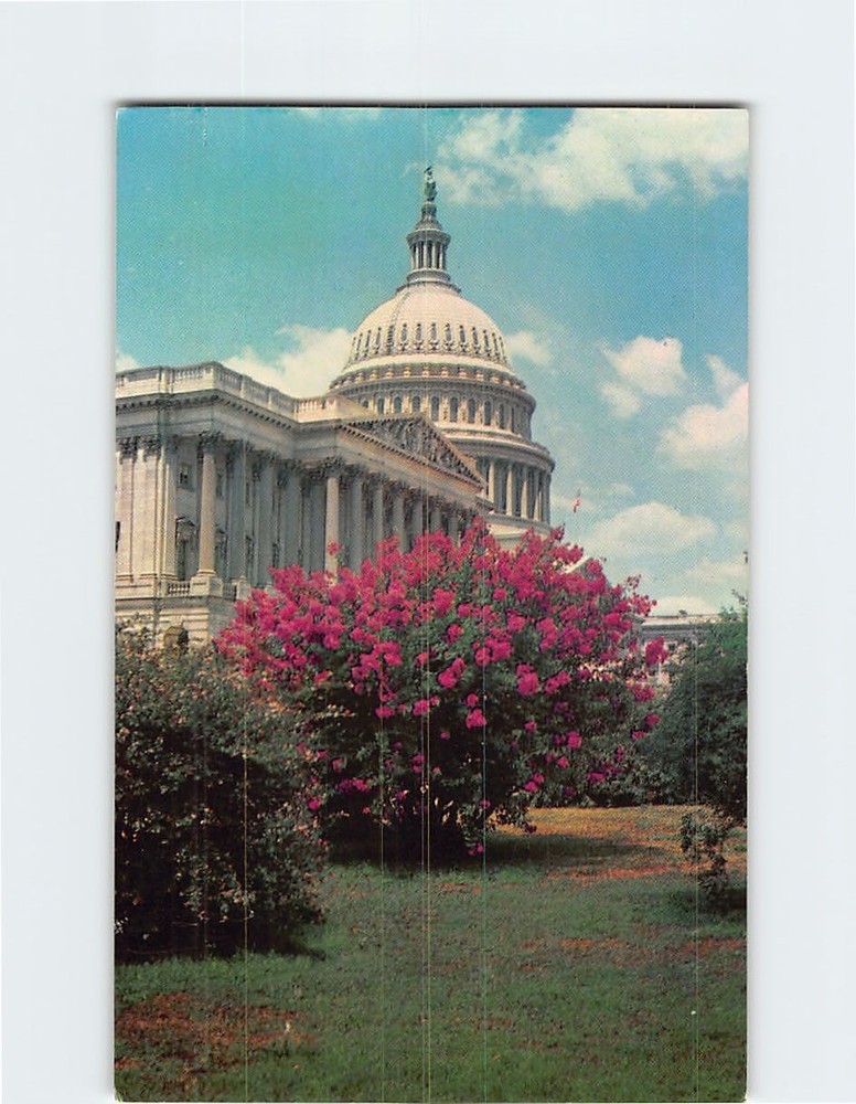 Postcard United States Capitol Washington DC