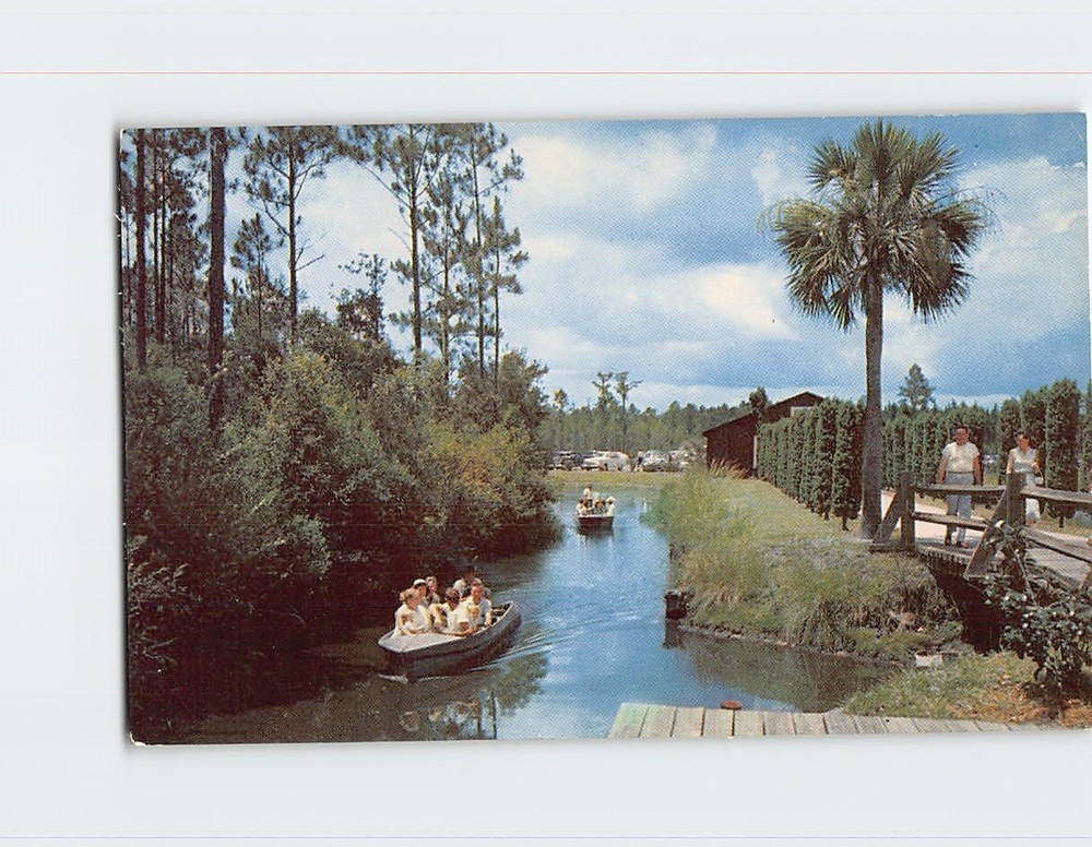 Postcard Okefenokee Swamp Park Waycross Georgia USA