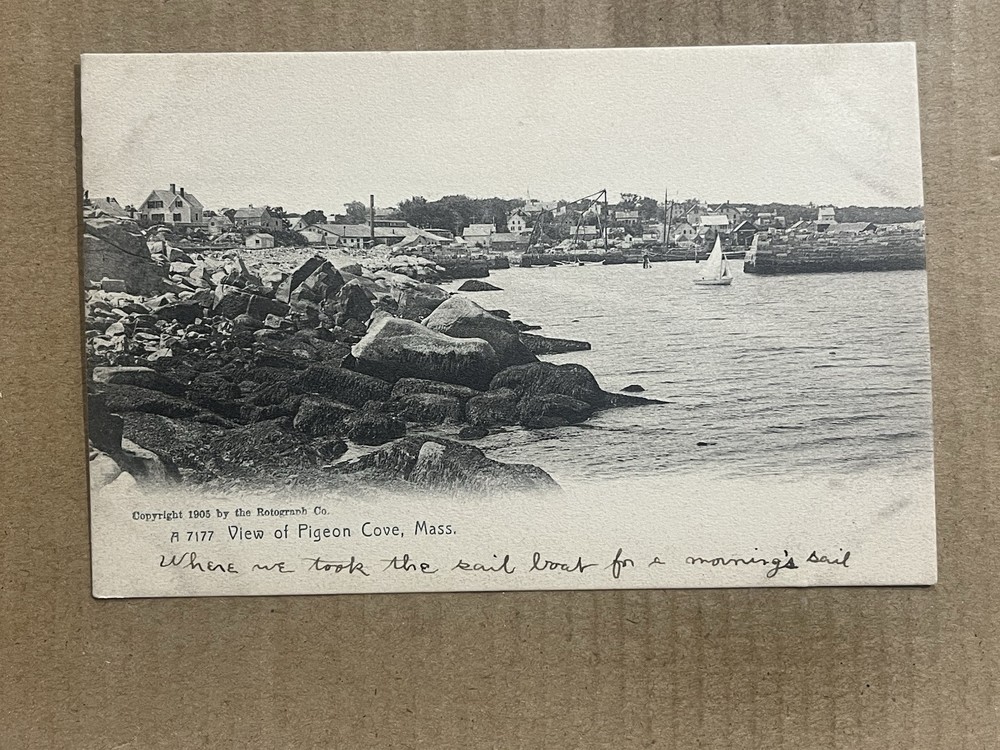 Postcard Pigeon Cove MA Massachusetts Harbor View Sailboat c1905 Rotograph UDB