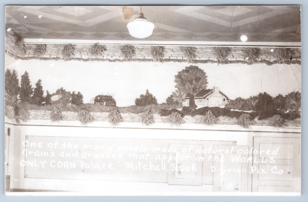 RPPC South Dakota Mitchell World Corn Palace Interior Panels D Grigg Postcard