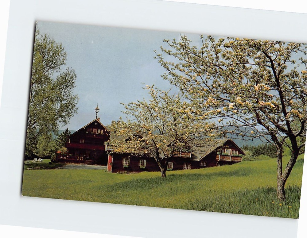 Postcard Apple blossom Time At family lodge Stowe Vermont