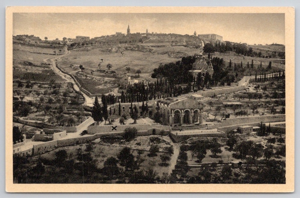 Jerusalem Palestine Mount of Olives Garden of Gethsemane Postcard c1910s