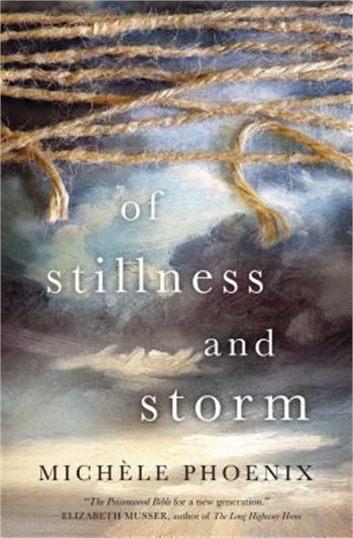 Of Stillness and Storm (Paperback or Softback)