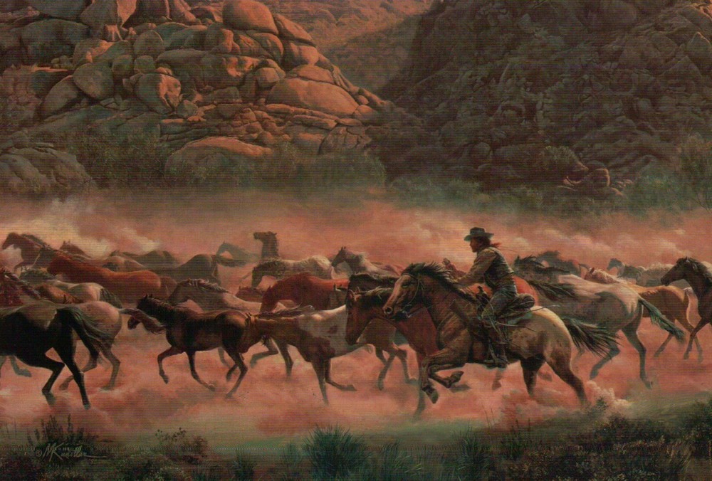 Wild Horse Mesa, Mustangs of Texas etc., Cowboy, Wild West --- 6