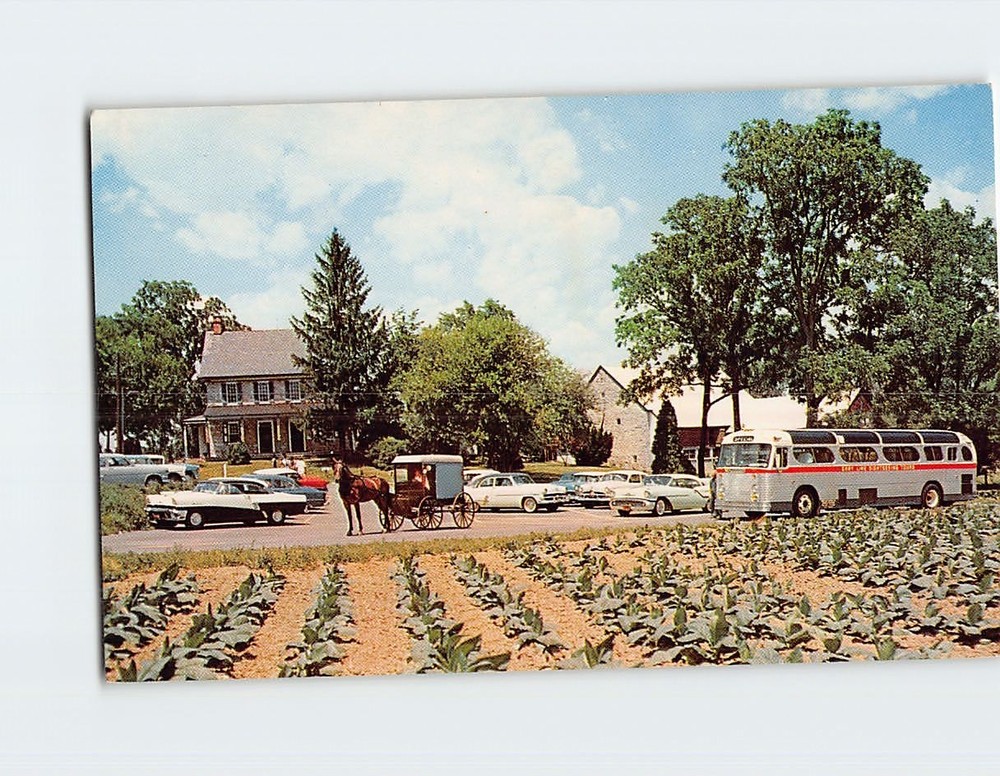 Postcard The Amish Farm & House Lancaster Pennsylvania USA