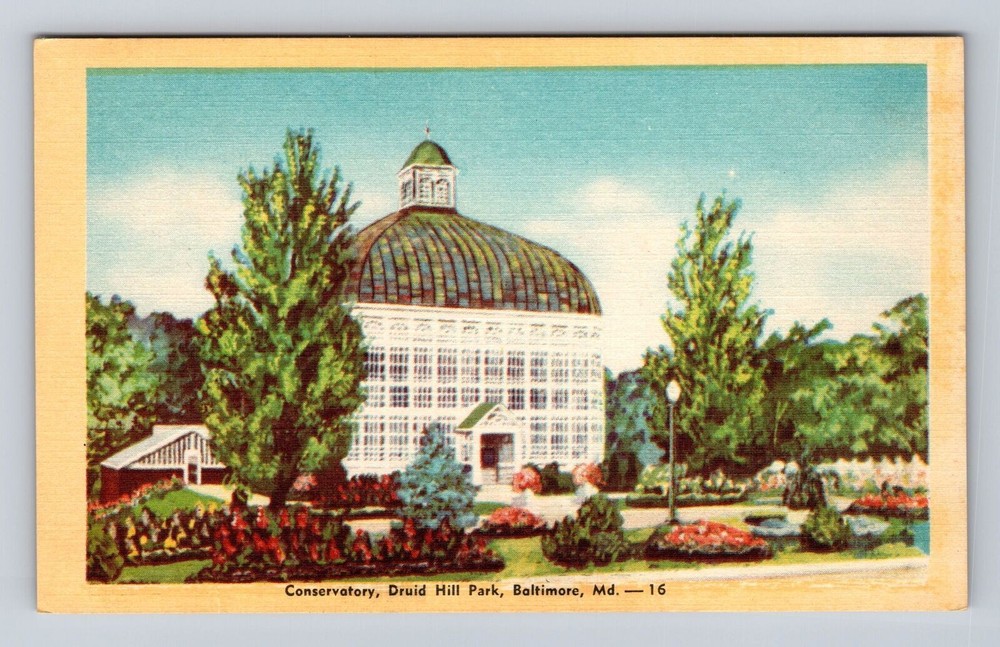 Baltimore MD-Maryland, Conservatory, Druid Hill Park, Antique, Vintage Postcard