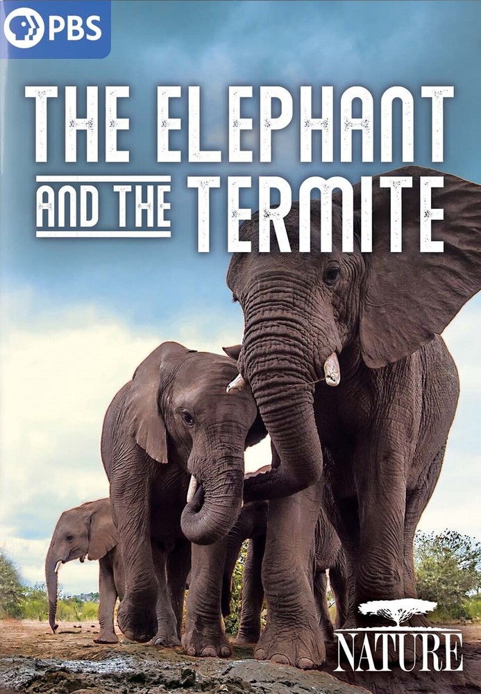 NATURE: THE ELEPHANT AND THE TERMITE