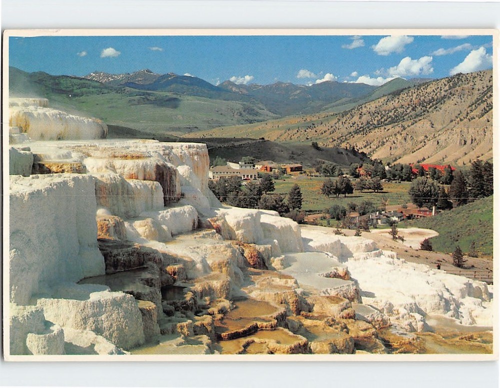 Postcard Minerva Terrace Mammoth Hot Springs Yellowstone National Park WY USA