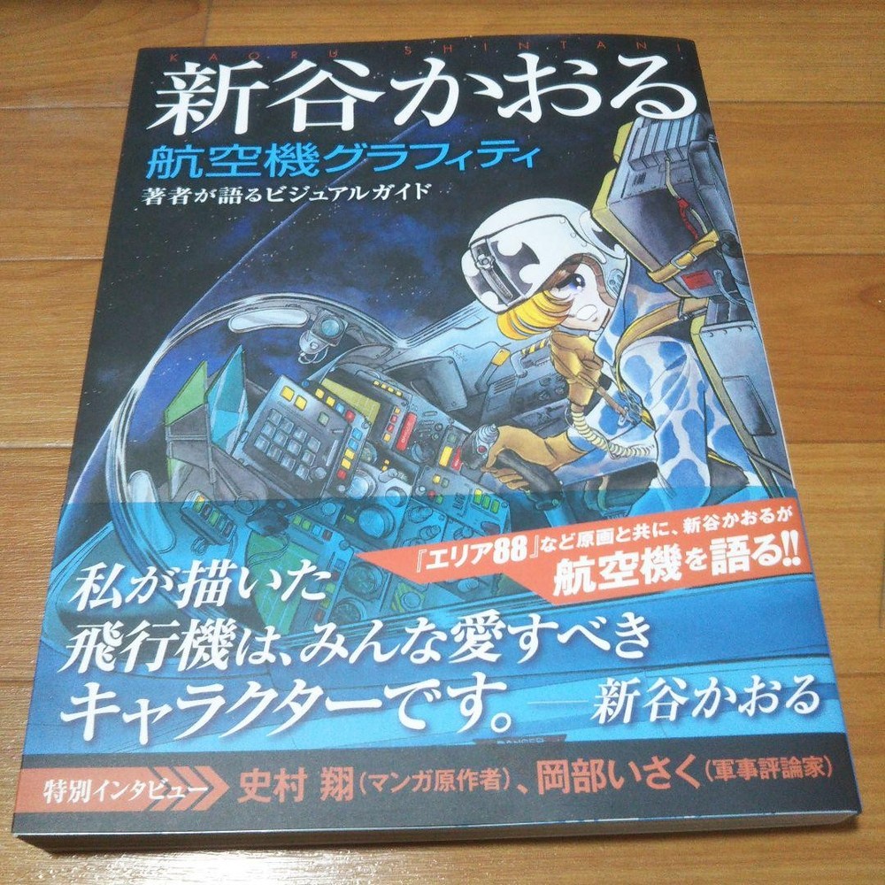 Area 88 Kaoru Shintani Illustrations Art Book Aircraft Aviation Ace Combat Manga-image