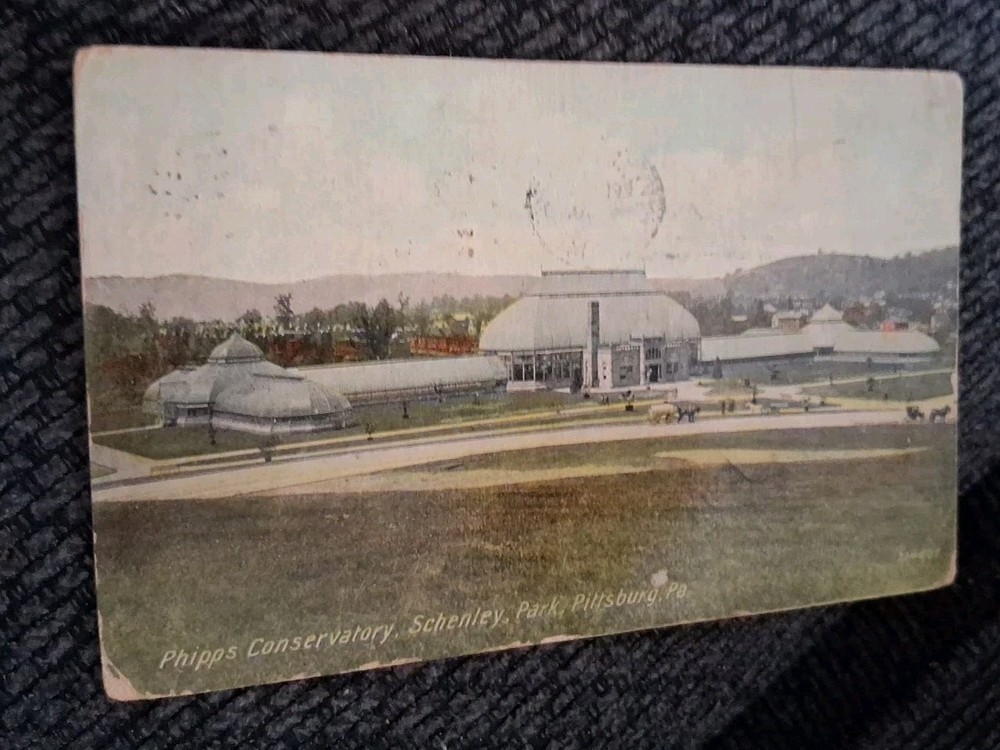1914 Pittsburgh Pennsylvania Phipps Conservatory Schenley Park Postcard