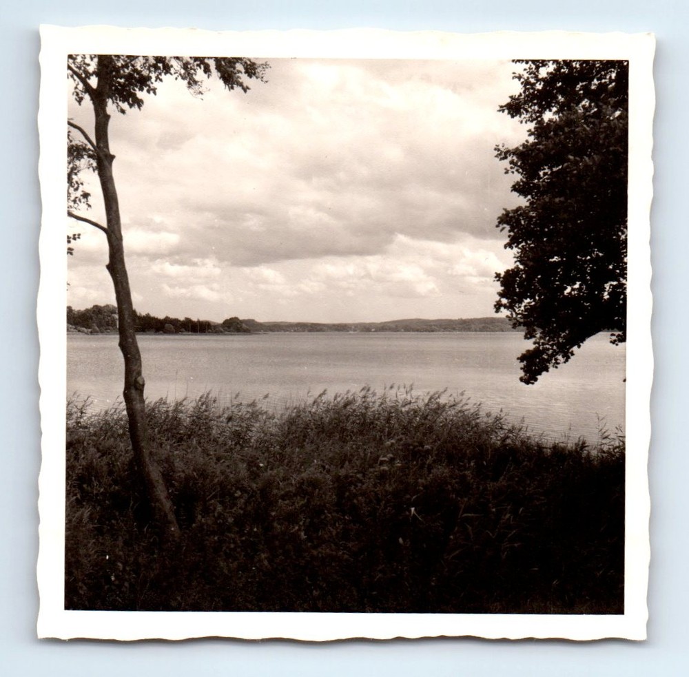 Old Vintage Square Photo LANDSCAPE SEA LAKE CLOUDS TREES SNAPSHOT PHOTOGRAPH