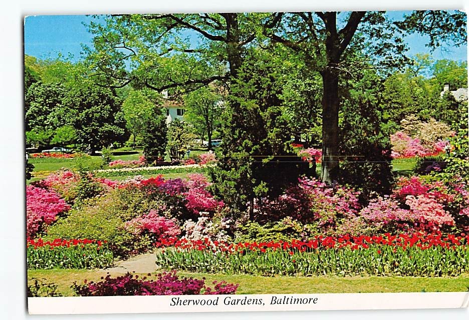 Postcard Sherwood Gardens Baltimore Maryland USA