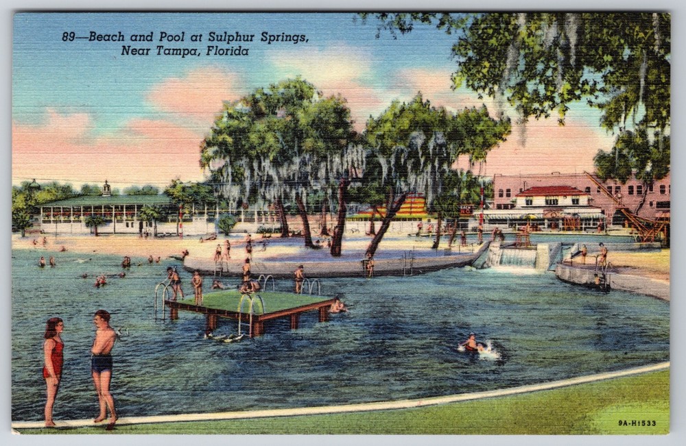 FL Tampa Sulphur Springs Beach and Pool 1939 Curt Teich Linen Postcard