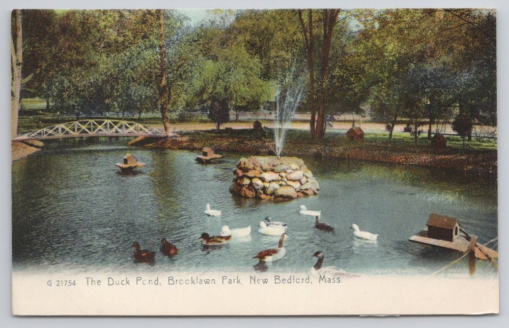 New Bedford MA Duck Pond Brooklawn Park Rotograph Postcard c1910