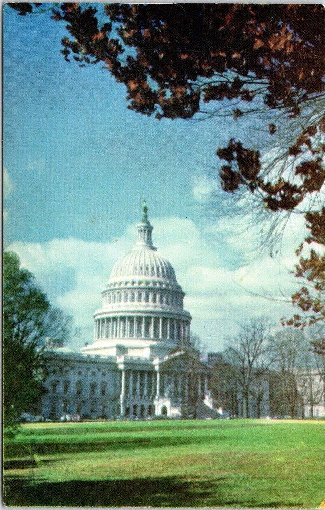 Distance View United States Capitol Building Landmark Landscape Postcard WOB UNP