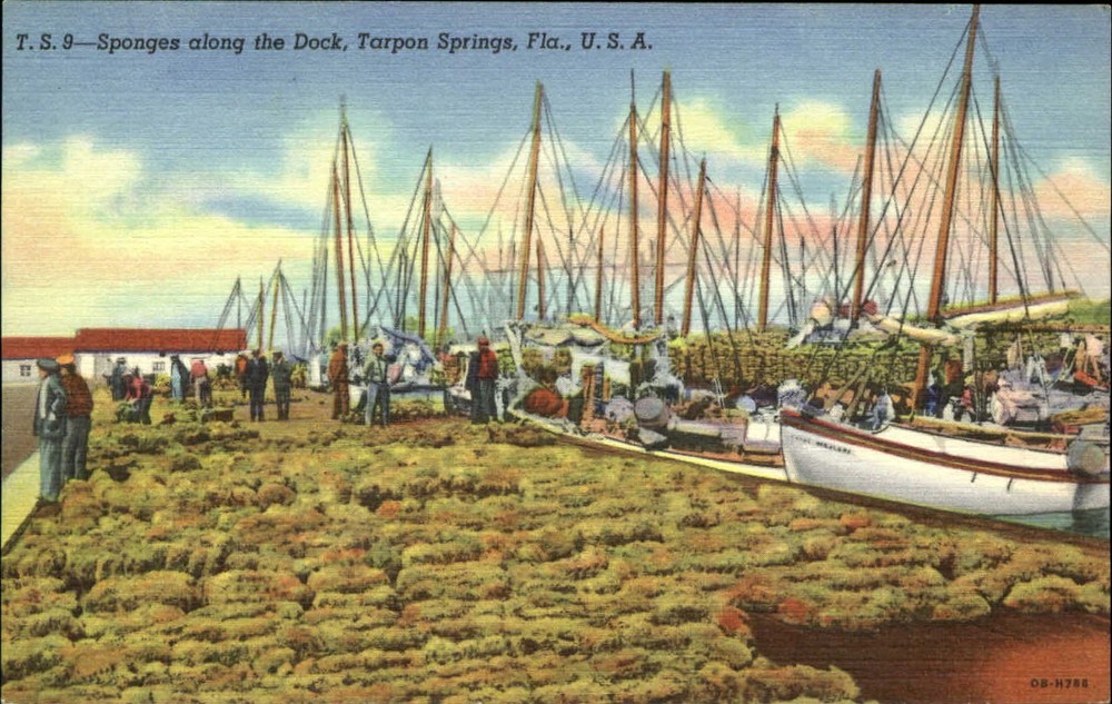 Sponges on the dock Tarpon Springs Florida FL boats 1940s