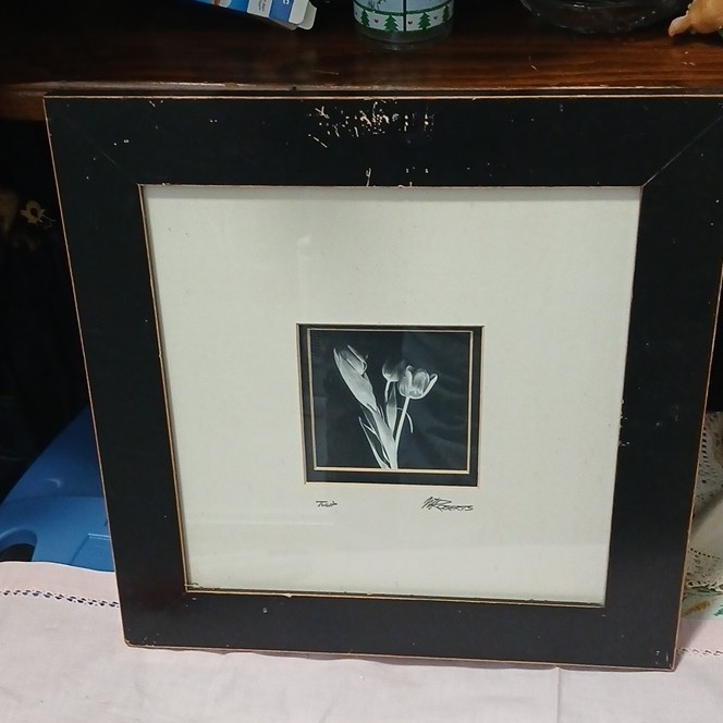 M. Powers Signed Black & White Tulip Photograph, Matted & Framed, 12x12