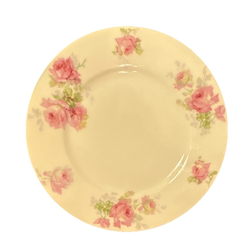Rosal Porcelain Floral Pink Green White Round Dinner Plate Shiny ANTIQUE