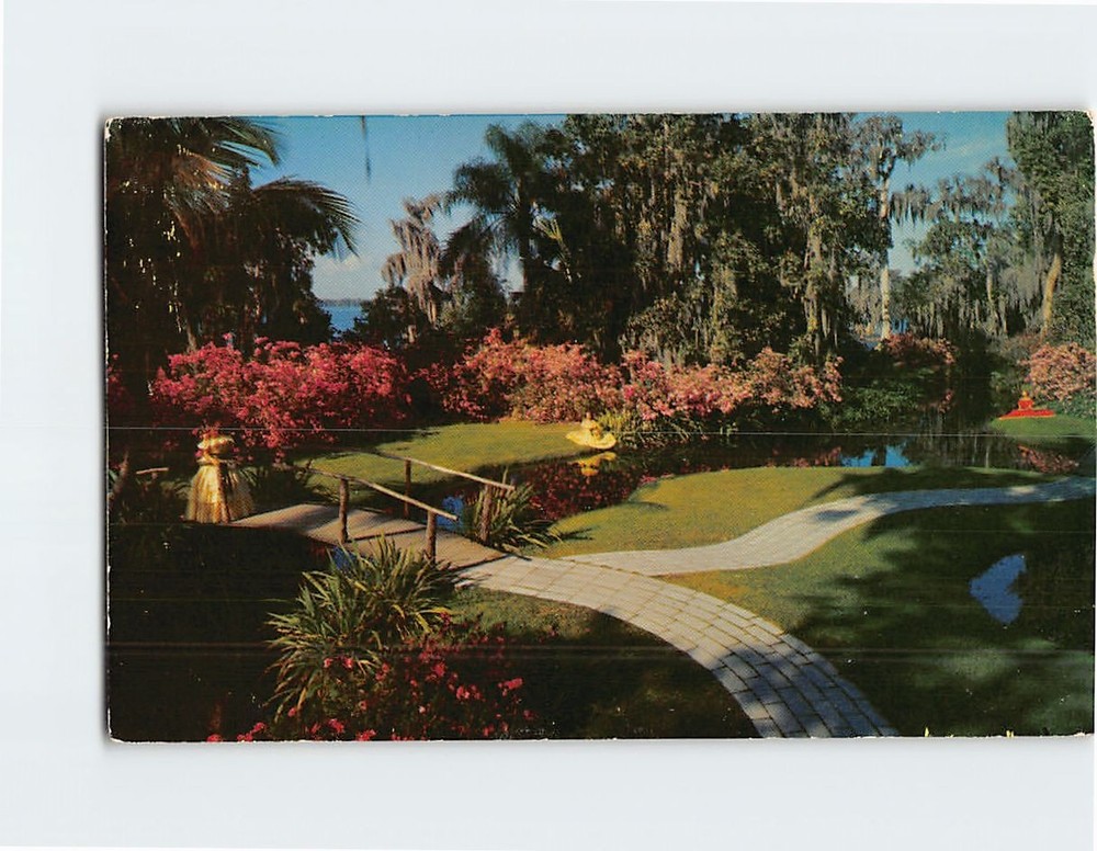 Postcard Tropical Flowers at Florida's Cypress Gardens