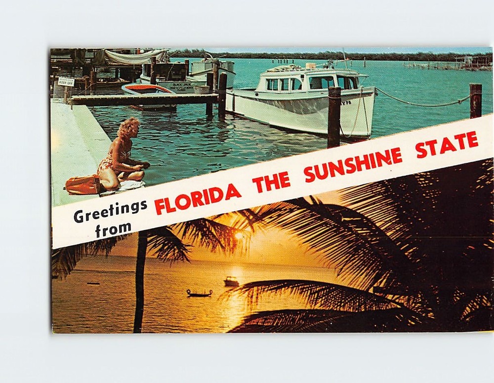 Postcard Scenes & Views in Florida Greetings from Florida USA