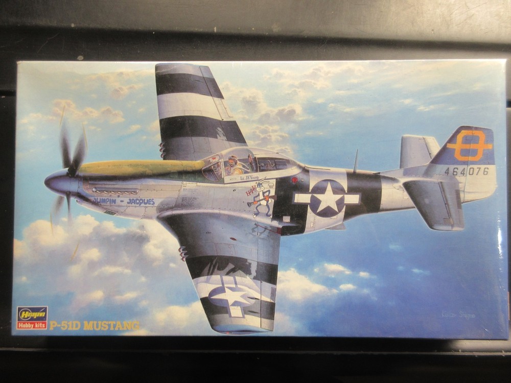 HASEGAWA 1/48 P-51D MUSTANG 