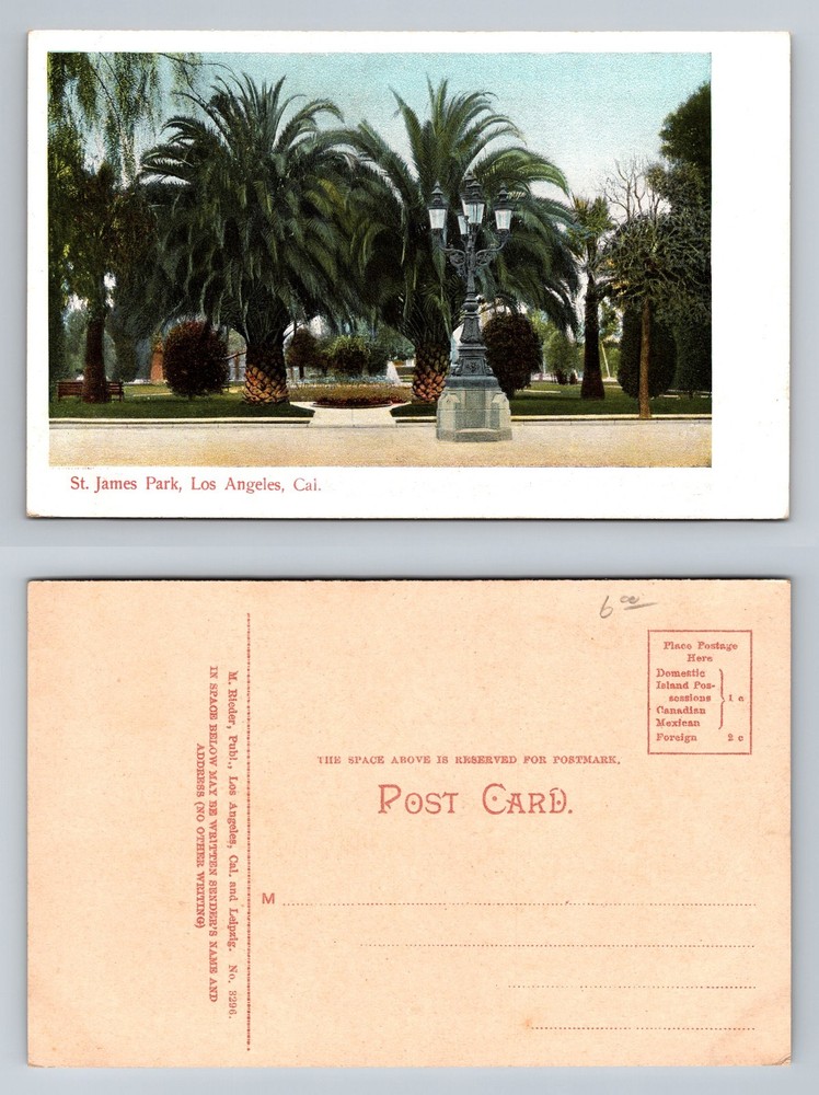 Los Angeles, CA-California St James Park Palm Trees and Gardens Vintage Postcard