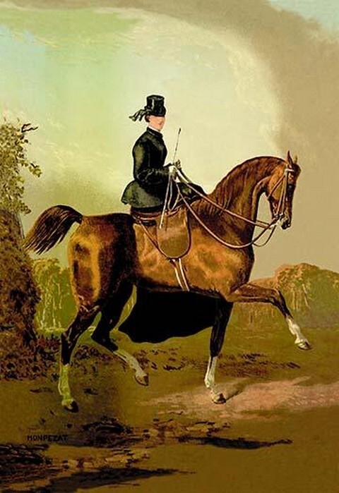 A Ladies' Horse by Samuel Sidney - Art Print