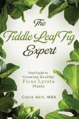 The Fiddle Leaf Fig Expert: Your Guide to Growing Healthy Ficus Lyrata Plants...