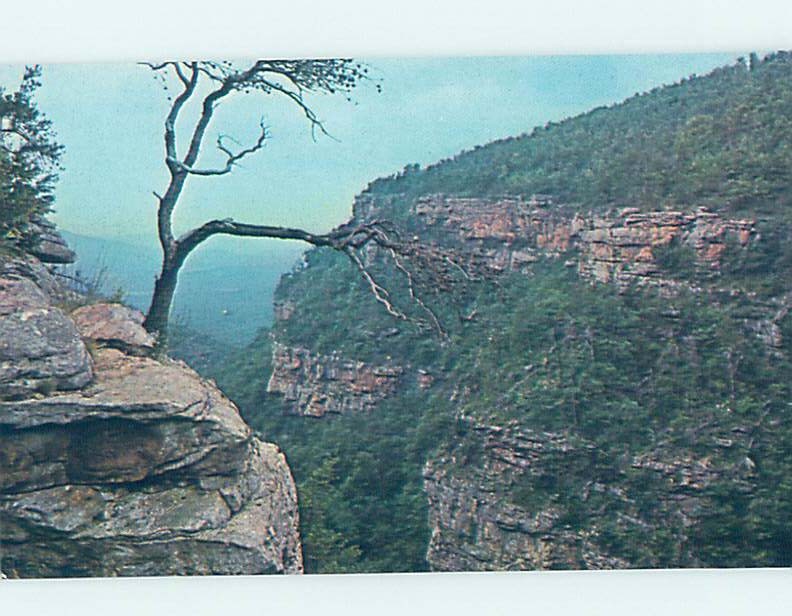Pre-1980 NATURE SCENE Trenton - Near Fort Oglethorpe Georgia GA m/09 AD2945@