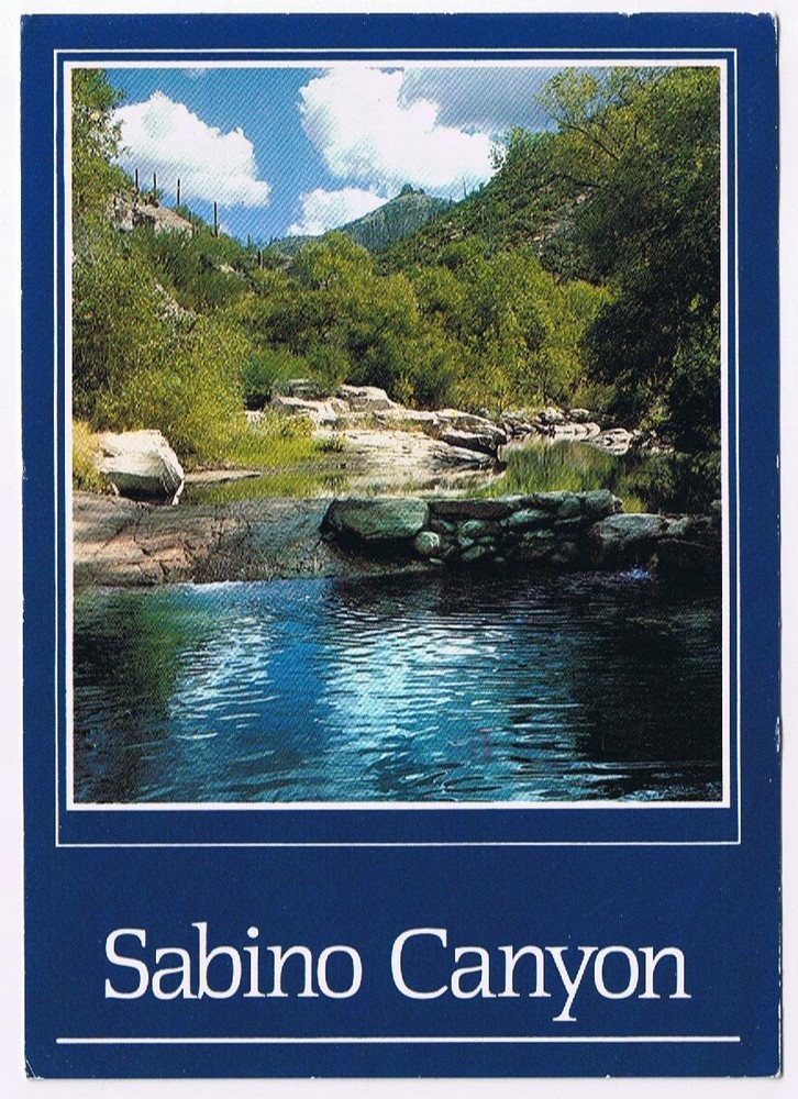 Postcard Sabino Canyon Bear Mountain Creek Tucson Arizona