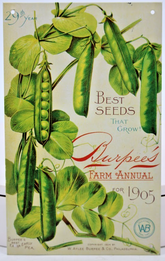 Burpee’s 1905 Best Extra Early Pea Metal Sign Vintage Seed Advertising Decor