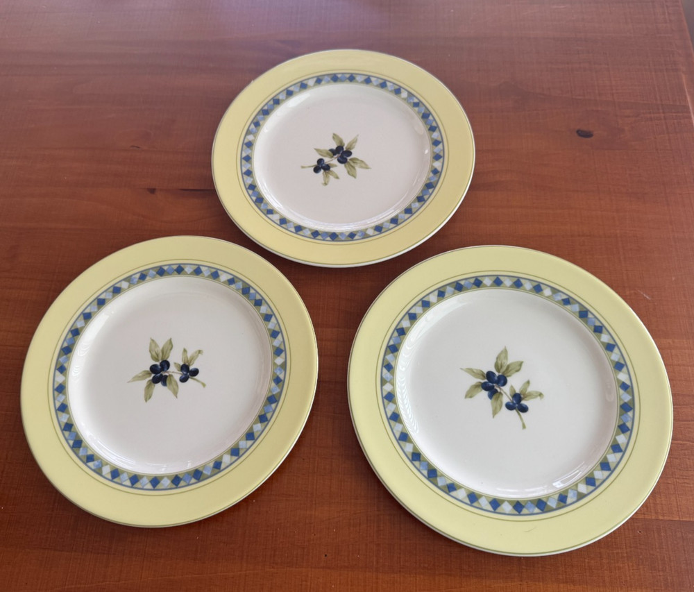 Royal Doulton CARMINA -- Set of 3 Salad Plates 9