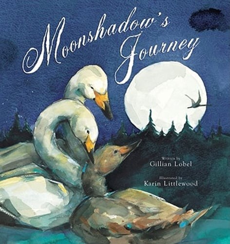 Moonshadow's Journey by Gillian Lobel: Used
