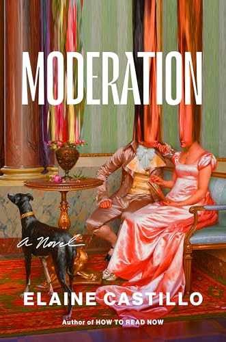 Moderation: A Novel - Hardcover, by Castillo Elaine - New q