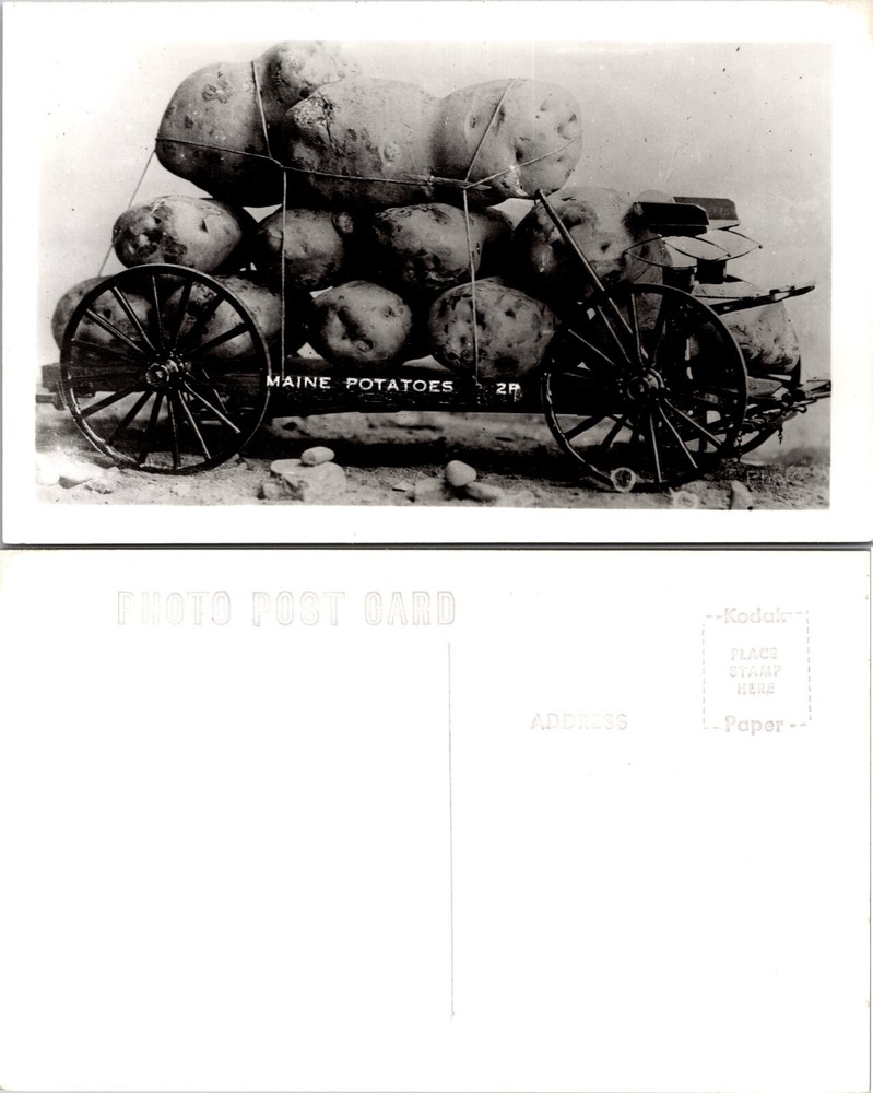RPPC Exaggeration Maine Potatoes Wagon Real Postcard