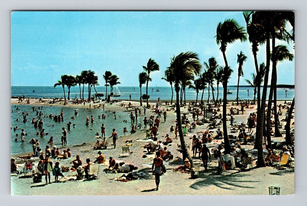Miami FL-Florida, Dade County, Antique, Vintage Souvenir Postcard