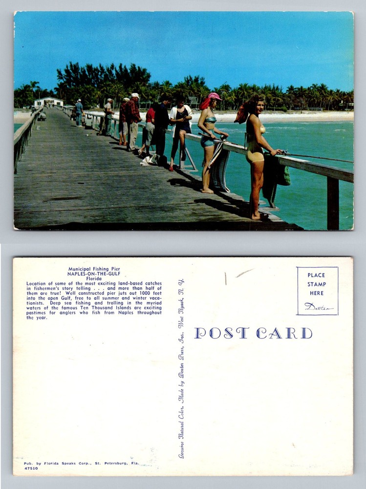 Naples-On-The-Gulf, FL-Florida, Municipal Fishing Pier Anglers Vintage Postcard