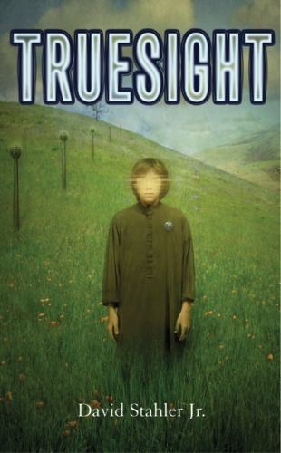 Truesight, Paperback by Stahler, David, Used Good Condition, Free shipping in...