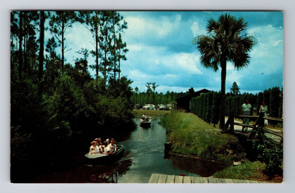 Waycross GA-Georgia, Okefenokee Swamp Park, Antique, Vintage Souvenir Postcard