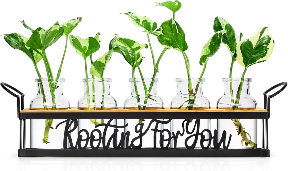 Plant Propagation Stations for Mom - Mother's Day Gift for Plant Lovers