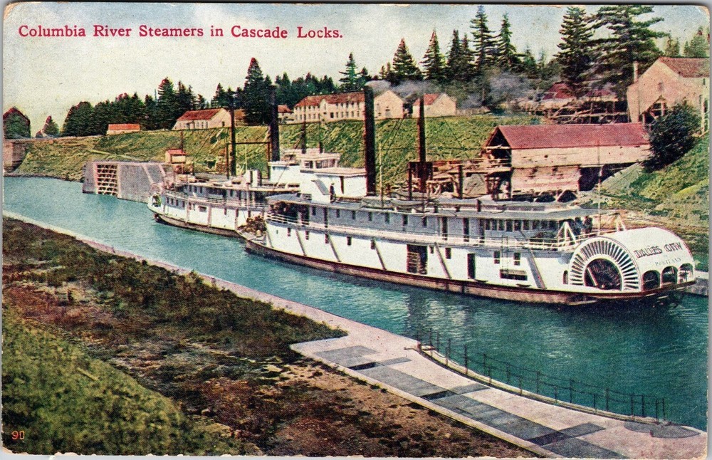 Cascade Locks OR-Oregon, Columbia River Steamers, Vintage Postcard
