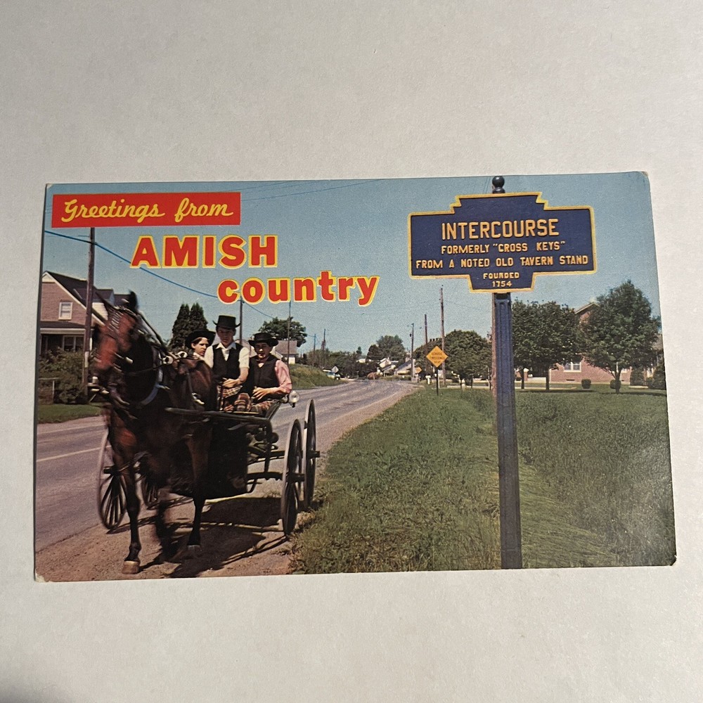 Vintage Greetings From Amish Country Intercourse Pennsylvania Horse Postcard