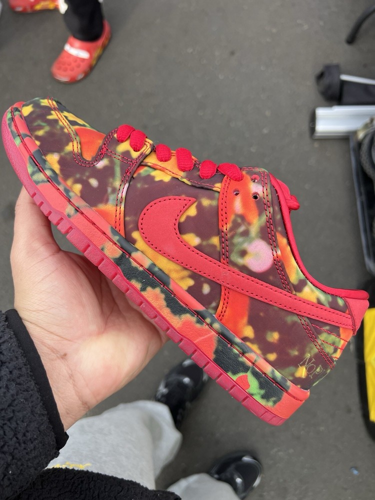 Size 12 - Nike The Wizard of Oz x Dunk SB Low Poppy Field