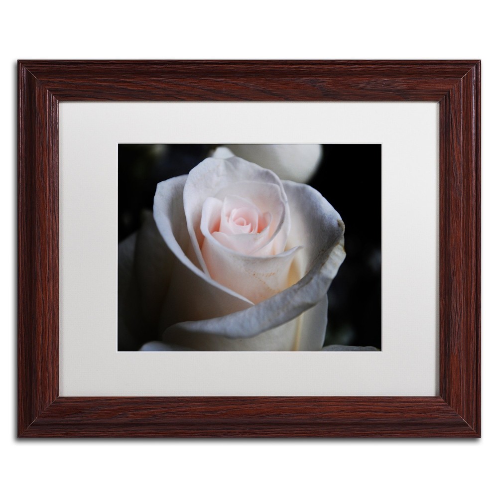 Loyal Star 11x14 White Matte Wood Frame by Monica Mize  