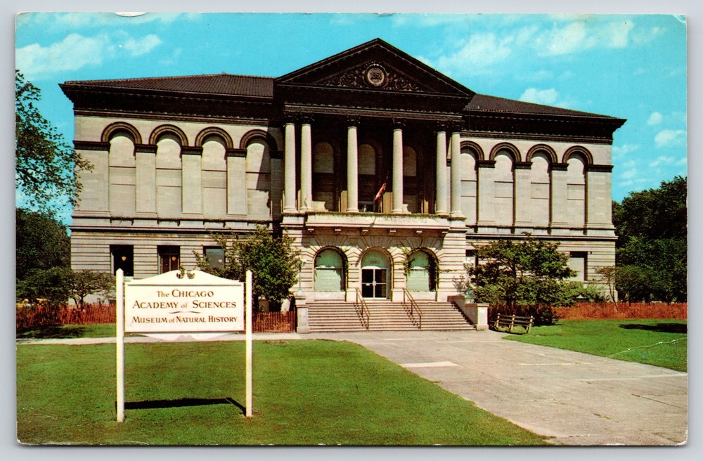 Chicago Illinois~Front of Chicago Academy of Sciences~Vintage Postcard-image